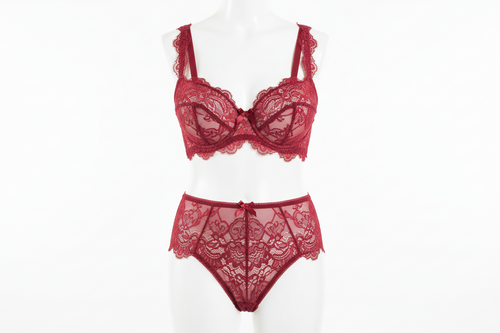 Lace Bra & Panty Set – Blush Pink